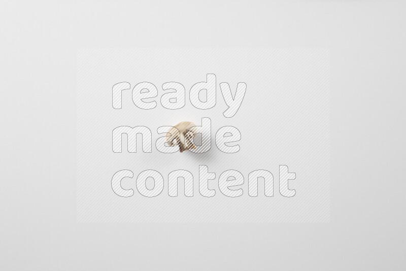 Mushrooms on white background