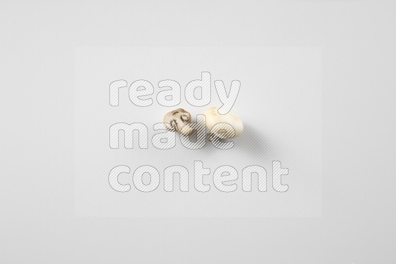 مشروم علي خلفية بيضاء