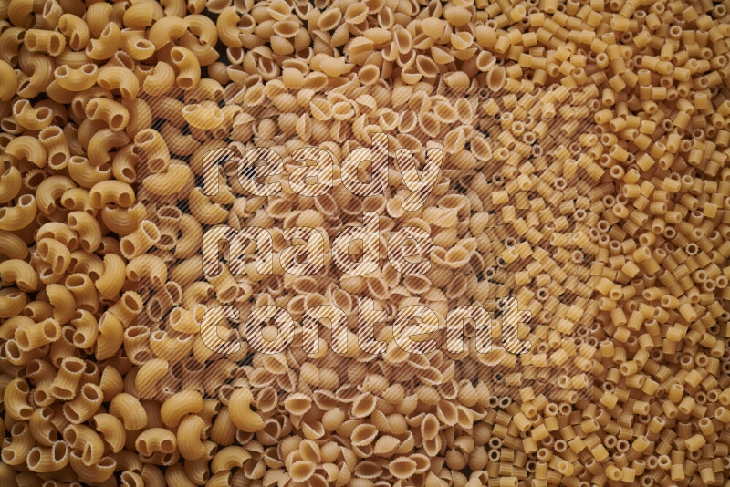 3 types of pasta filling the frame