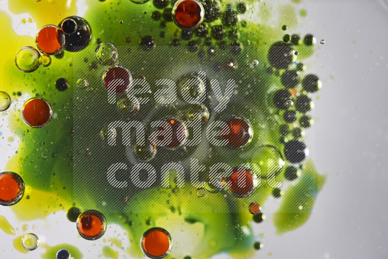 Close-ups of abstract red, blue, yellow and green watercolor drops on oil Surface on white background