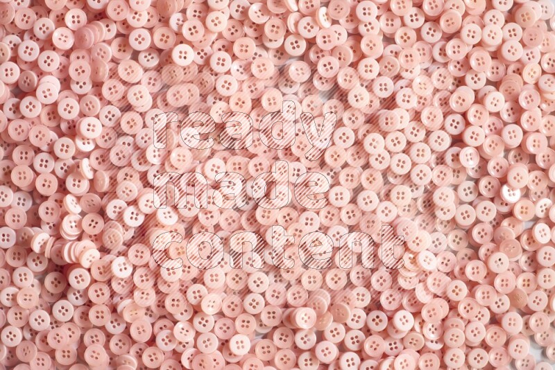 Rose buttons placed on grey background