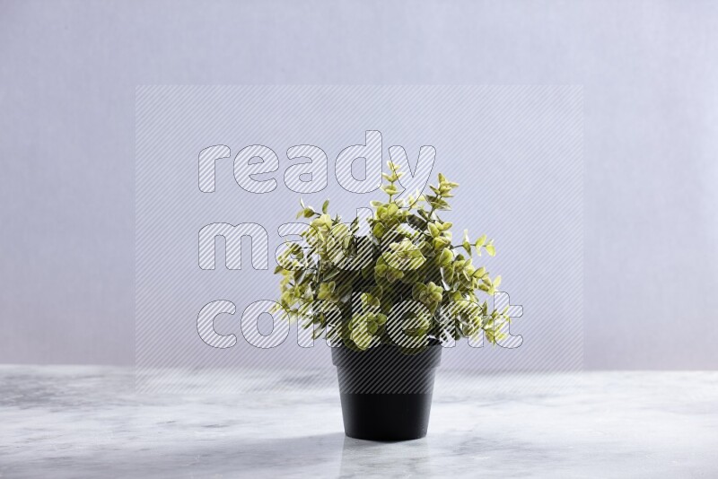 Green artificial plant in black pot on grey marble background