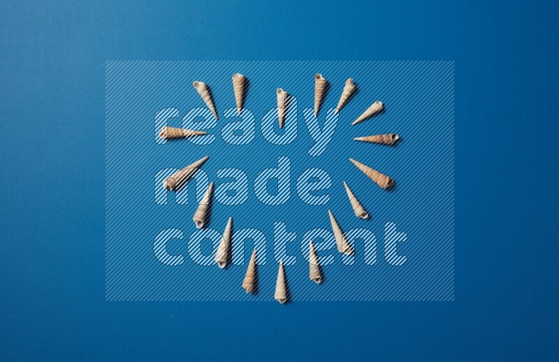 top view shot of seashells arrangement on blue background