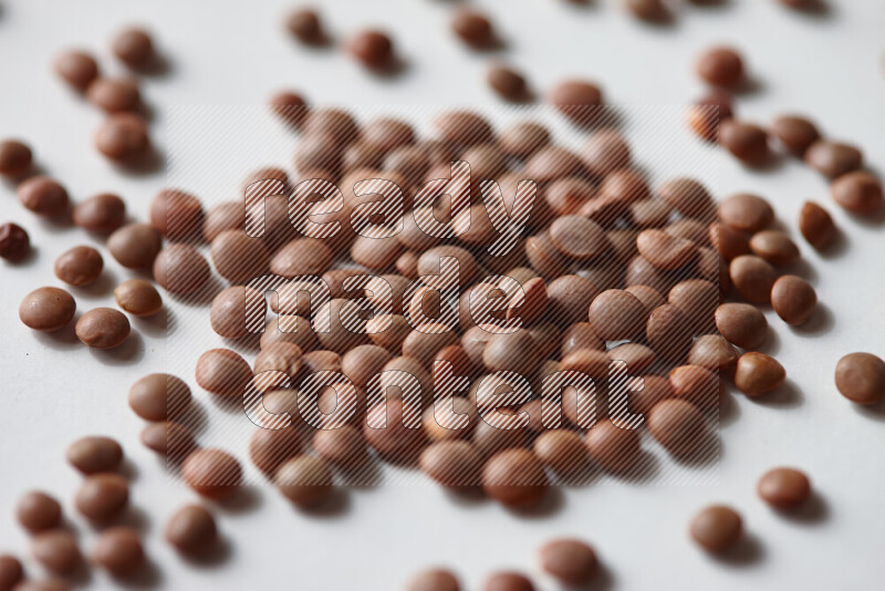Brown lentils on white background