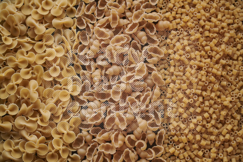 3 types of pasta filling the frame