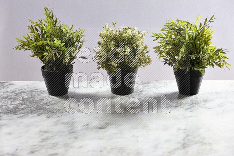Multiple artificial plants in black pot on grey marble background