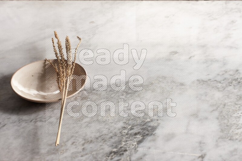 Wheat stalks on Beige Pottery Plate on grey marble flooring, 45 degree angel