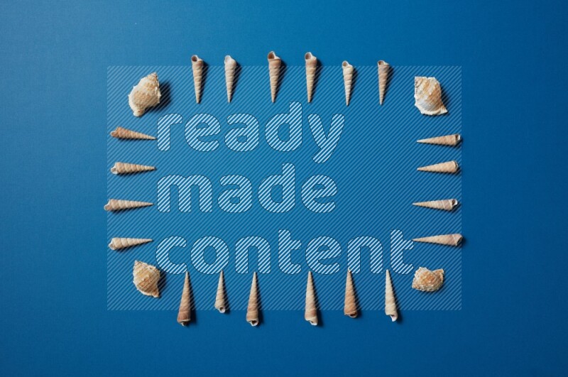 top view shot of seashells arrangement on blue background