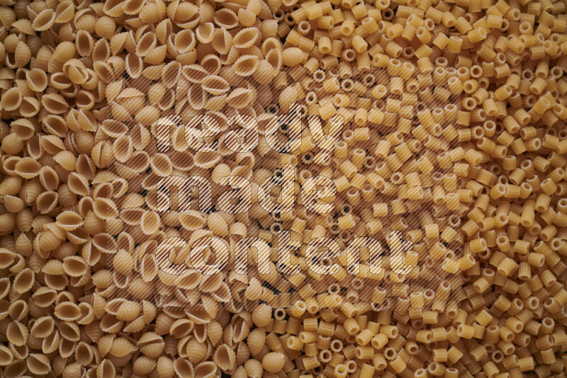 2 types of pasta filling the frame