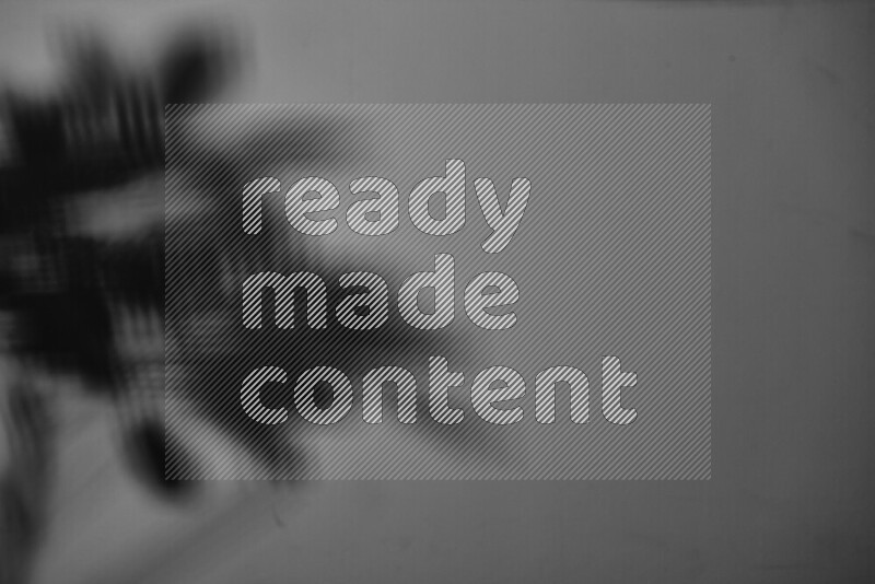 يظهر ضوء غوبو خافت ظلال أوراق نبات تسقط على سطح ناعم