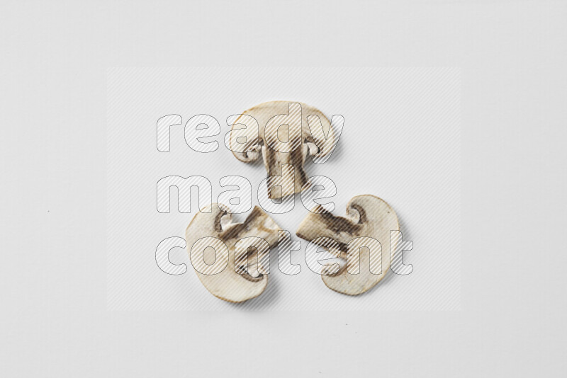 Mushrooms on white background