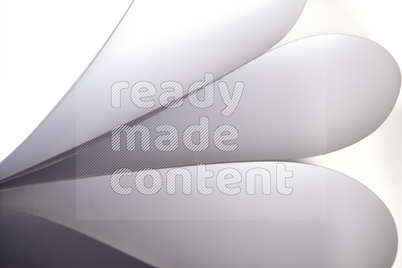 فن تجريدي يعرض المنحنيات المرتبة للأوراق باللون الرمادي