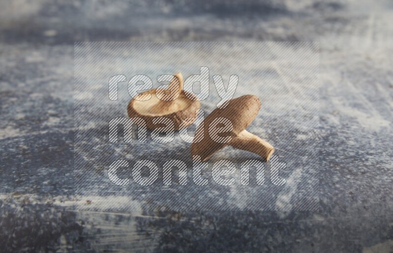 45 degre shiitake mushrooms on a textured rustic blue background