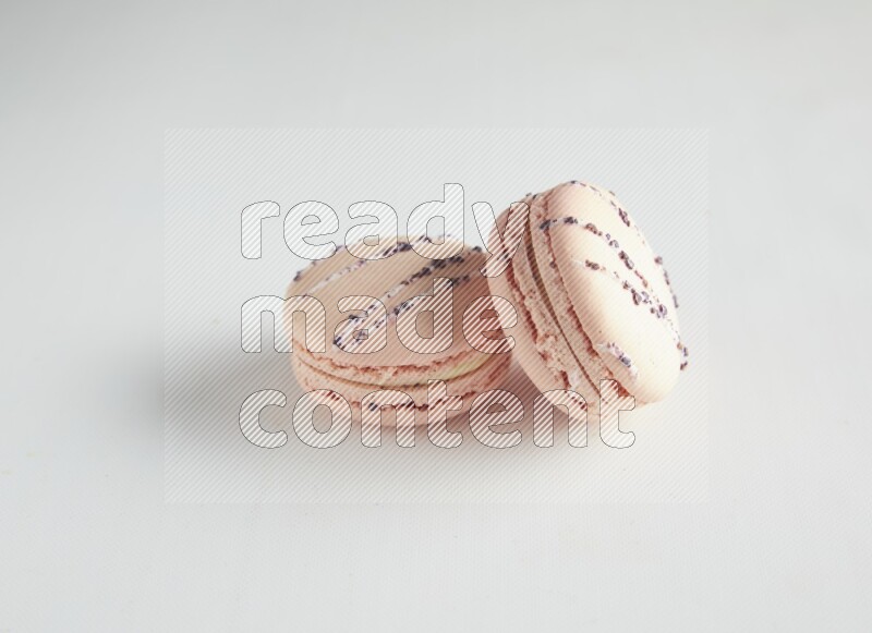 45º Shot of two pink orange blossom macarons on white background