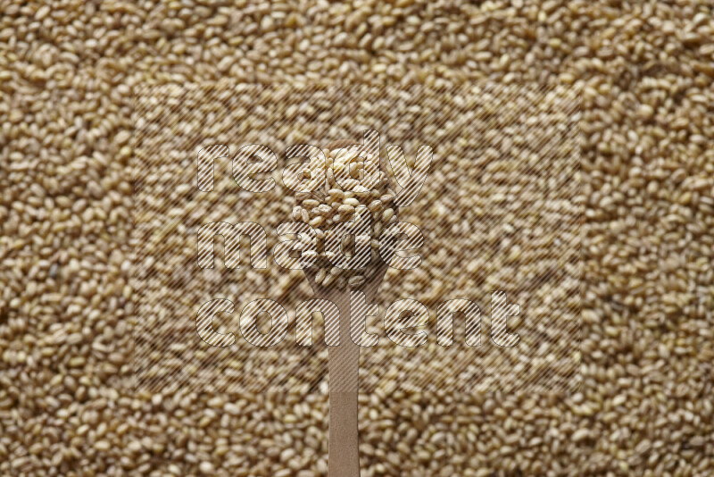 A wooden spoon full of hulled wheat on hulled wheat background