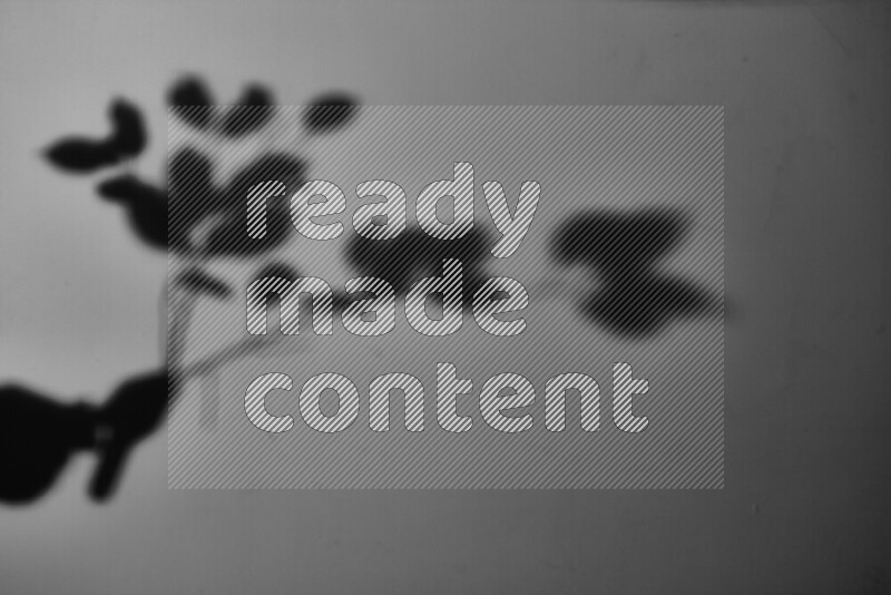 A delicate gobo light projects the silhouette of plant leaves onto a smooth surface