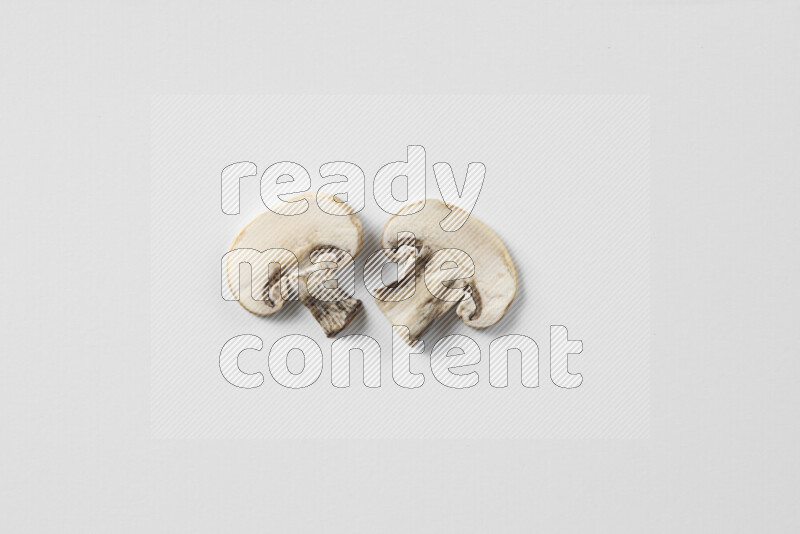 Mushrooms on white background