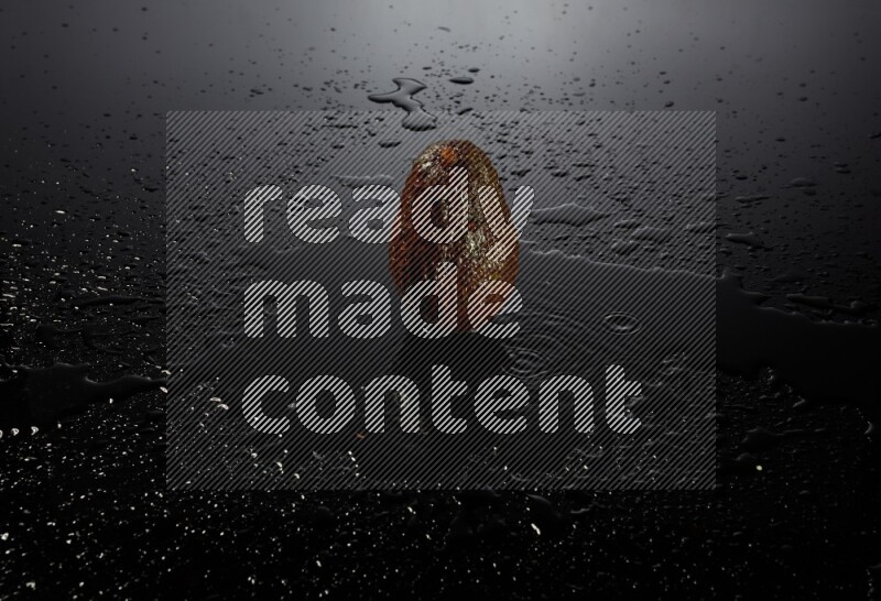 A whole avocado on black background with water drops.