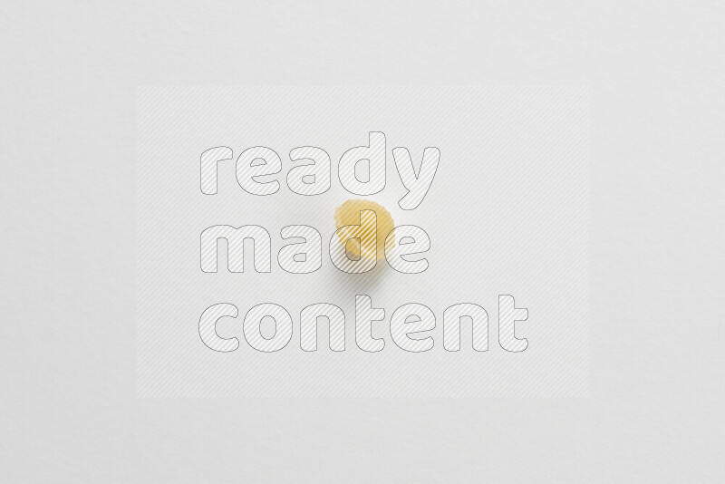 Shells pasta on white background