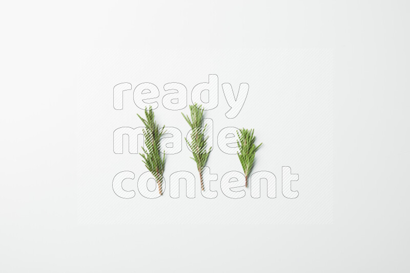 Three fresh rosemary sprigs on white background