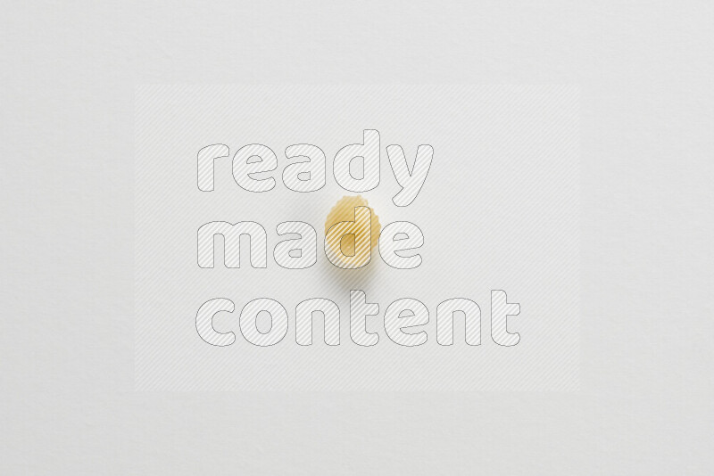 Shells pasta on white background