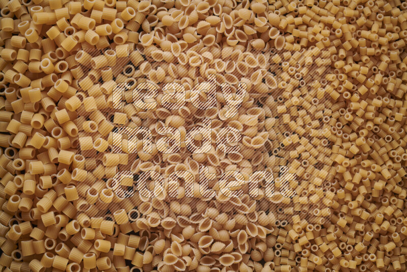 3 types of pasta filling the frame