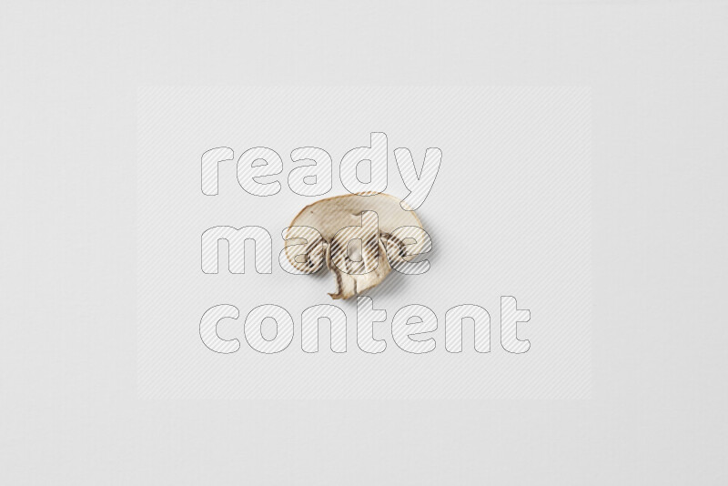 Mushrooms on white background