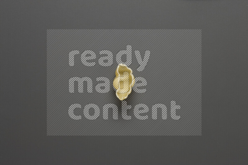 Snails pasta on grey background