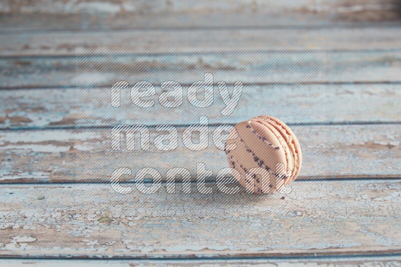 45º Shot of pink orange blossom macaron on light blue wooden background