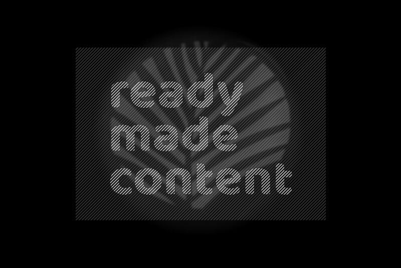 A collection of gobo light projections showcasing geometric patterns onto a smooth surface