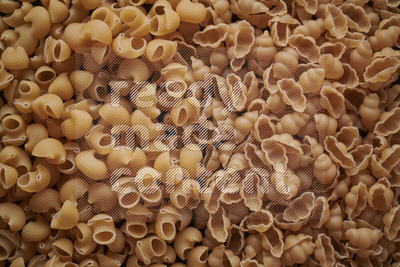 2 types of pasta filling the frame