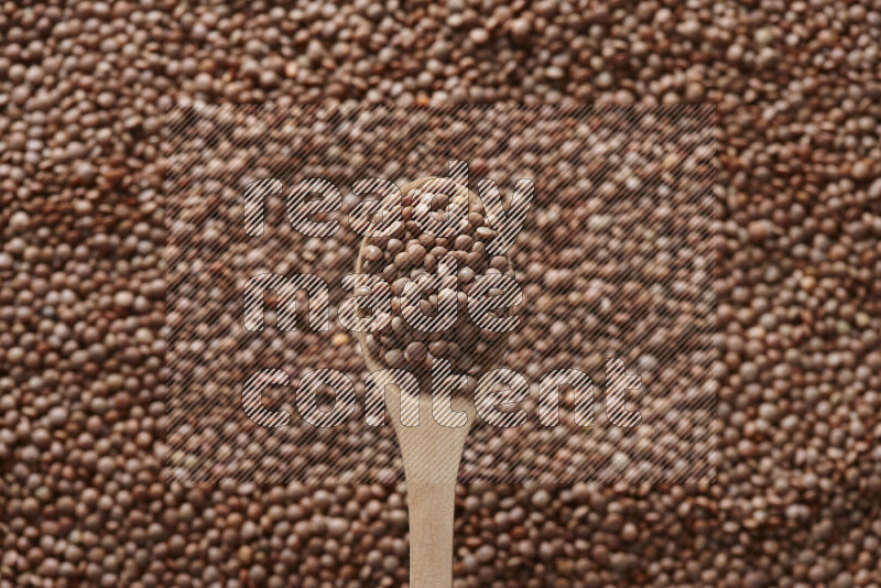 A wooden spoon full of brown lentils on brown lentils background