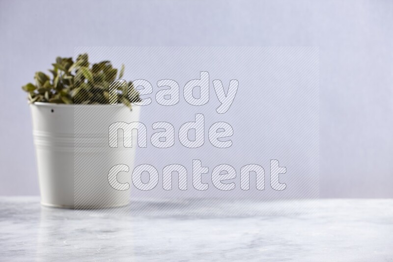Artificial plant in white pot on grey marble background