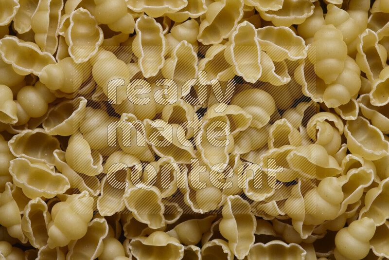 Snails pasta on grey background