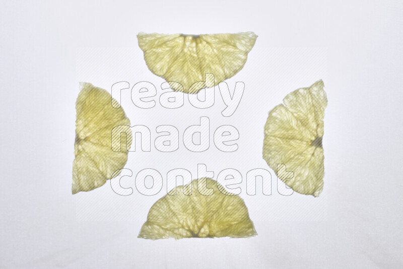 Orange slices on illuminated white background