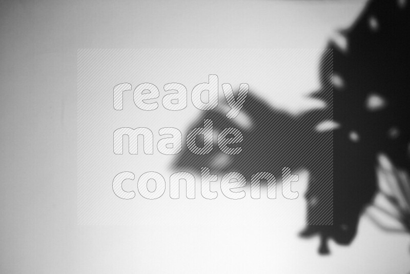 يظهر ضوء غوبو خافت ظلال أوراق نبات تسقط على سطح ناعم