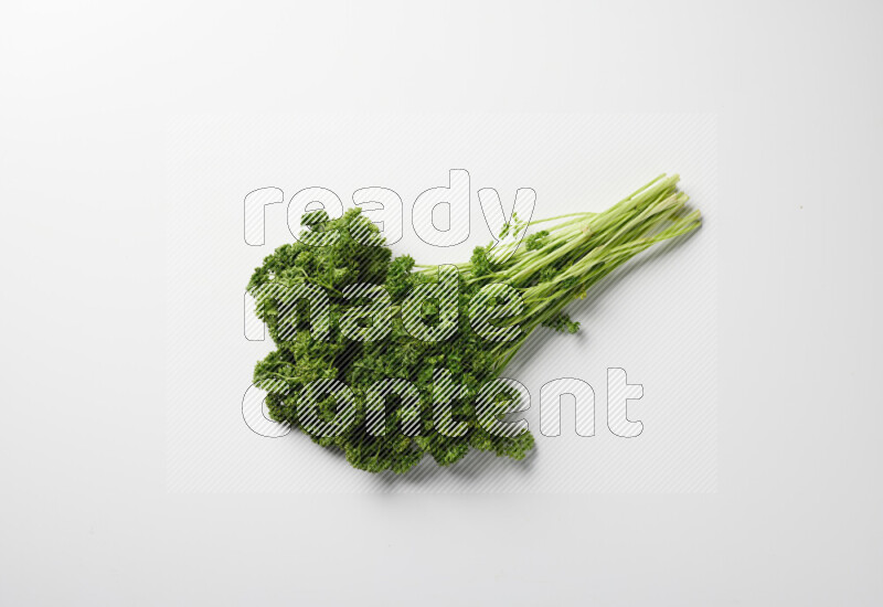 A bunch of fresh curly lettuce sprigs on a white background