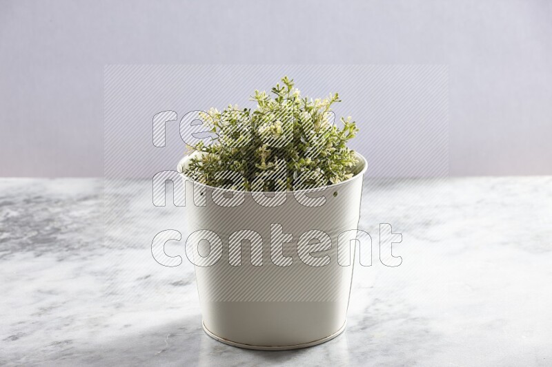 Artificial plant in white pot on grey marble background