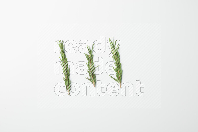 Three fresh rosemary sprigs on white background