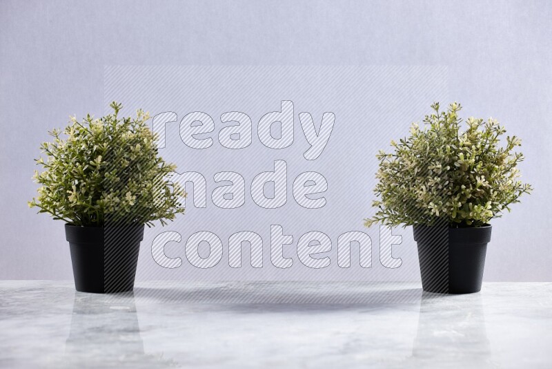 Two artificial plants in black pots on grey marble background