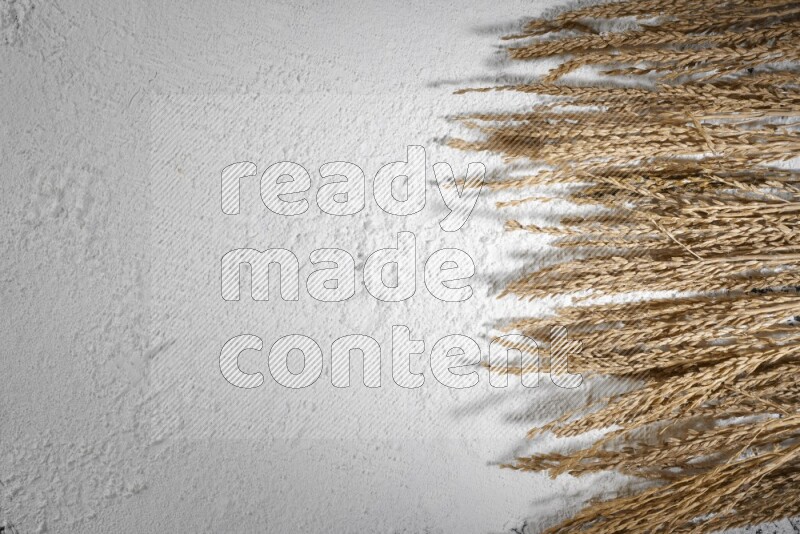 سنابل القمح على الدقيق الأبيض