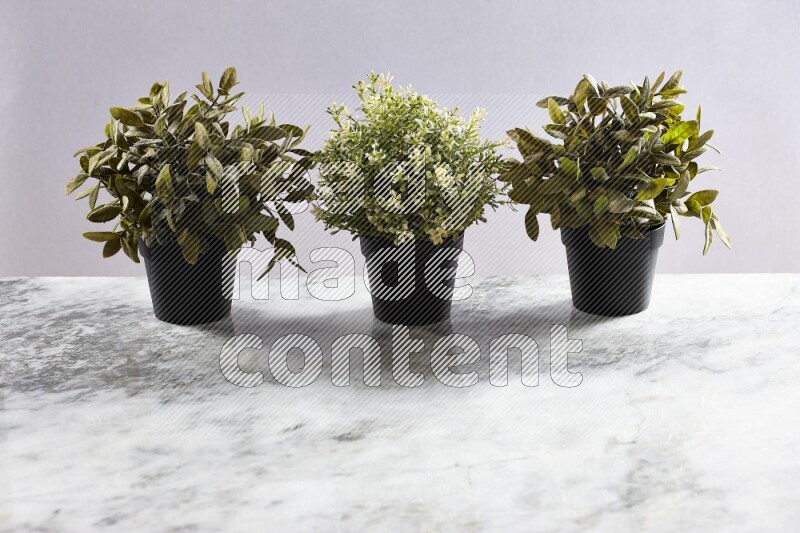 Multiple artificial plants in black pot on grey marble background
