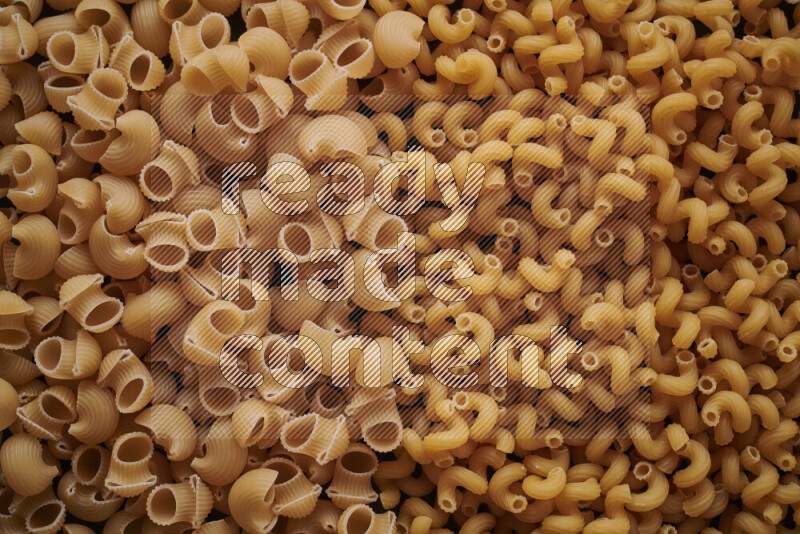 2 types of pasta filling the frame