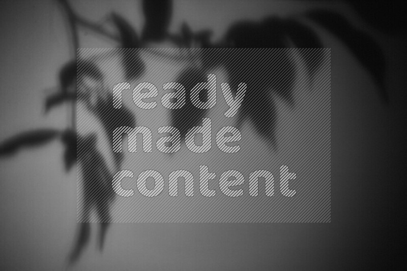 A delicate gobo light projects the silhouette of plant leaves onto a smooth surface