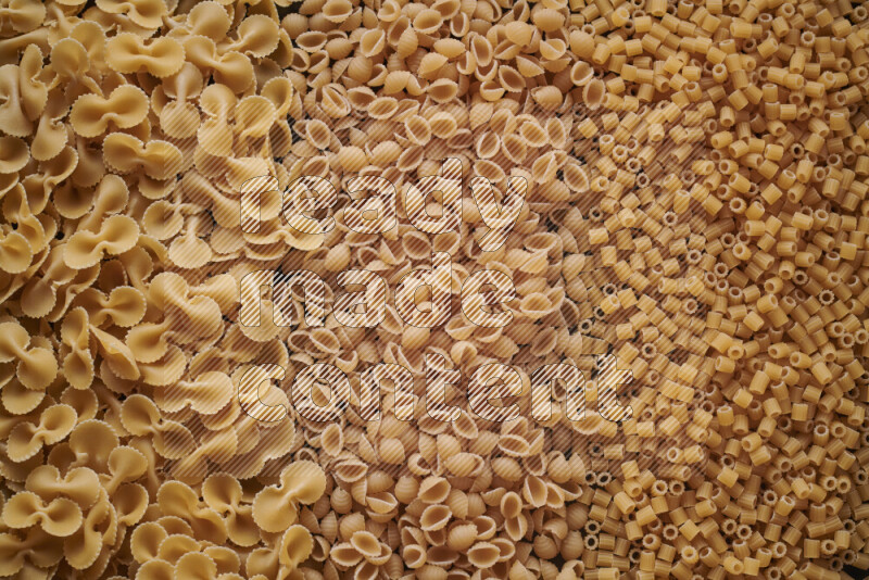 3 types of pasta filling the frame