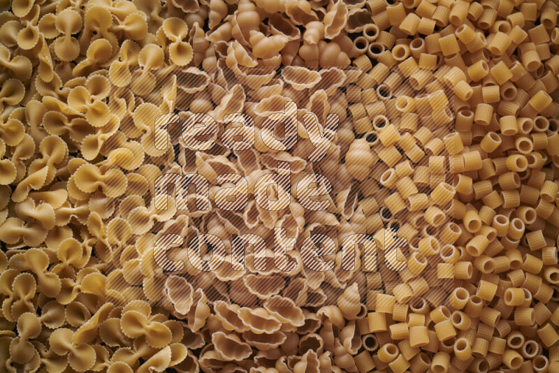 3 types of pasta filling the frame