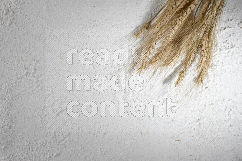 سنابل القمح على الدقيق الأبيض