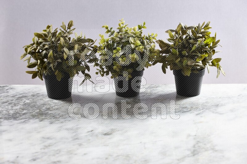 Multiple artificial plants in black pot on grey marble background