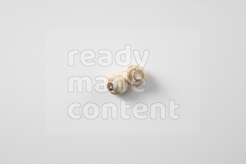 Mushrooms on white background