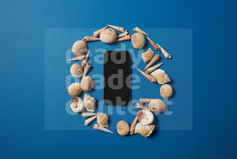 top view shot of phone with seashells on blue background